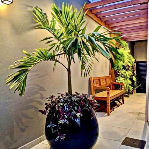 493921358_1190751499731294_5442232136678006822_n